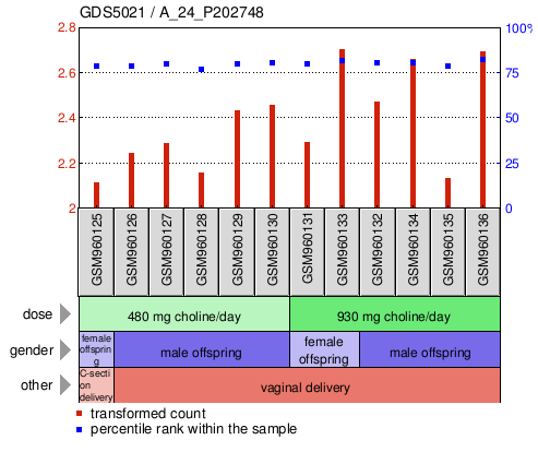 Gene Expression Profile