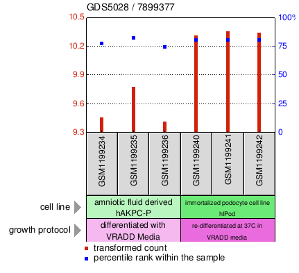 Gene Expression Profile