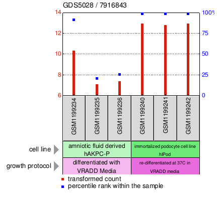 Gene Expression Profile