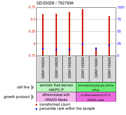 Gene Expression Profile