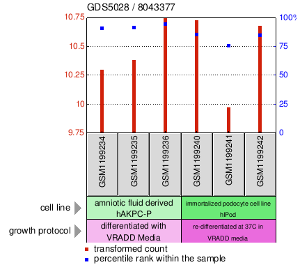 Gene Expression Profile