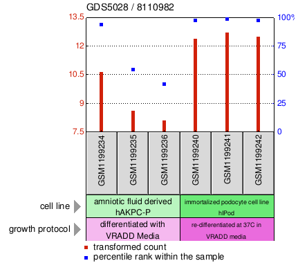 Gene Expression Profile