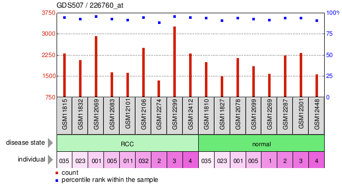 Gene Expression Profile