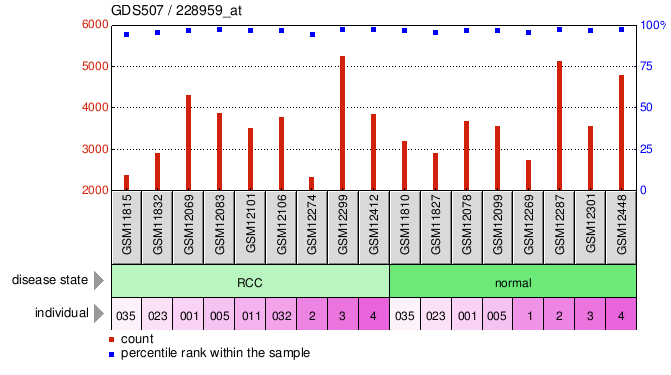 Gene Expression Profile