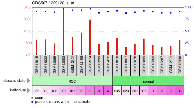 Gene Expression Profile