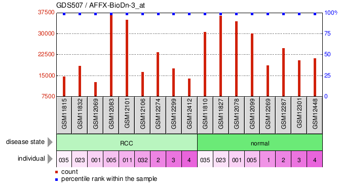 Gene Expression Profile