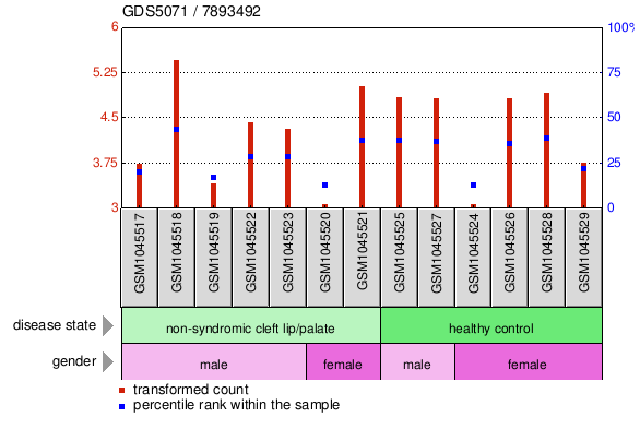 Gene Expression Profile