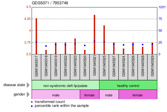 Gene Expression Profile