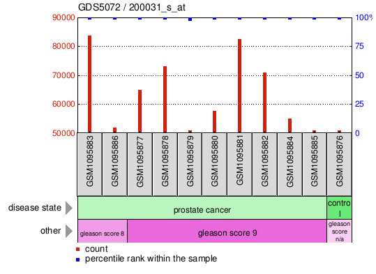 Gene Expression Profile