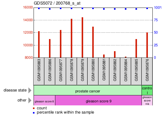 Gene Expression Profile