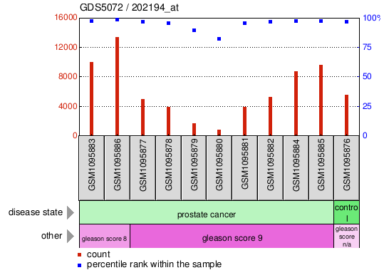 Gene Expression Profile