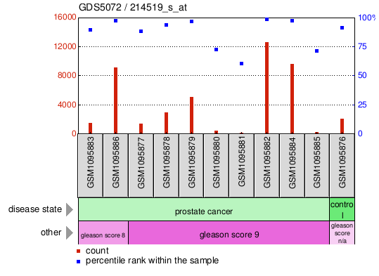 Gene Expression Profile