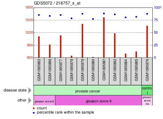 Gene Expression Profile