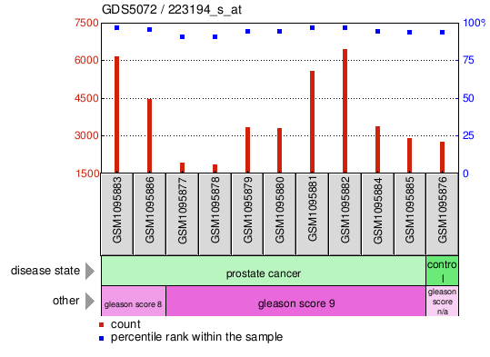 Gene Expression Profile