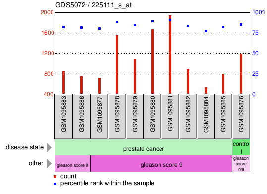 Gene Expression Profile