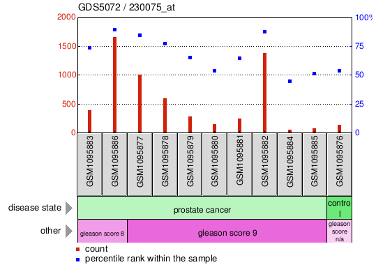 Gene Expression Profile