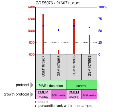 Gene Expression Profile