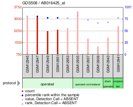 Gene Expression Profile