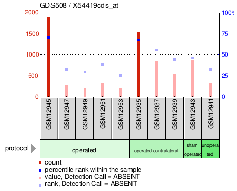 Gene Expression Profile