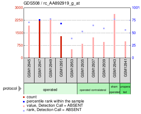 Gene Expression Profile