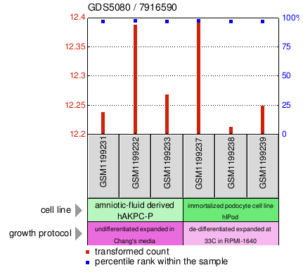 Gene Expression Profile