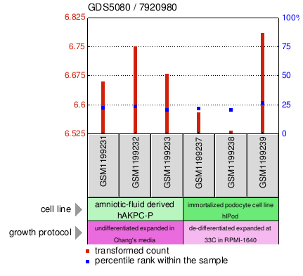 Gene Expression Profile