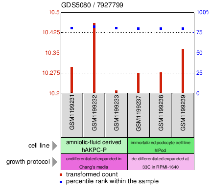 Gene Expression Profile