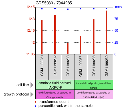 Gene Expression Profile