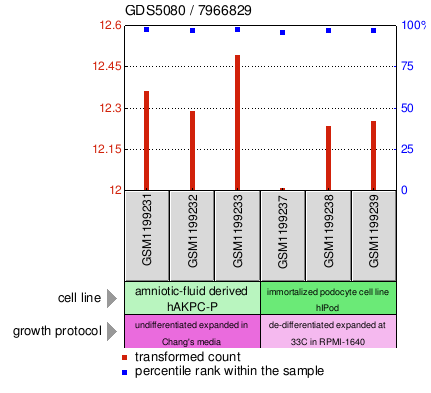 Gene Expression Profile