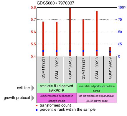 Gene Expression Profile