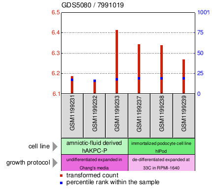 Gene Expression Profile