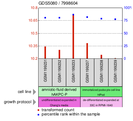 Gene Expression Profile