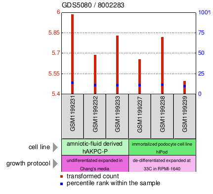 Gene Expression Profile