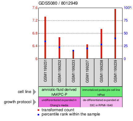 Gene Expression Profile