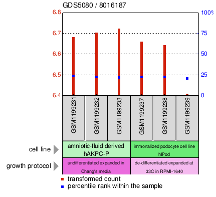 Gene Expression Profile