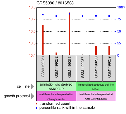 Gene Expression Profile