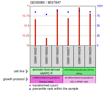 Gene Expression Profile