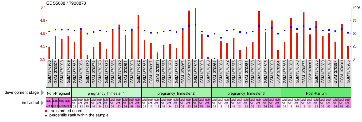 Gene Expression Profile