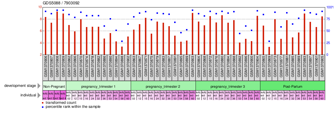 Gene Expression Profile