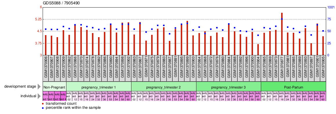 Gene Expression Profile