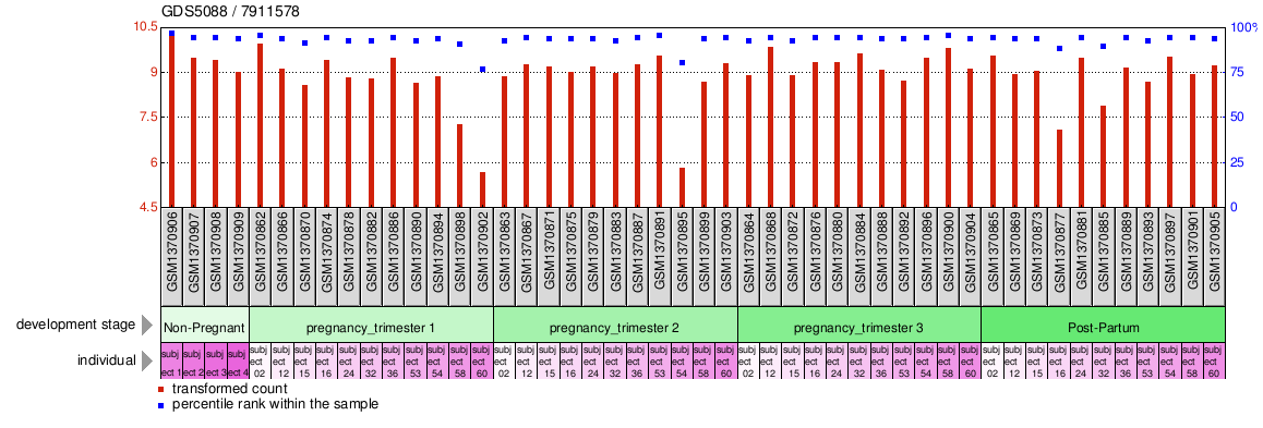 Gene Expression Profile