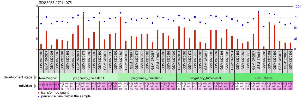 Gene Expression Profile