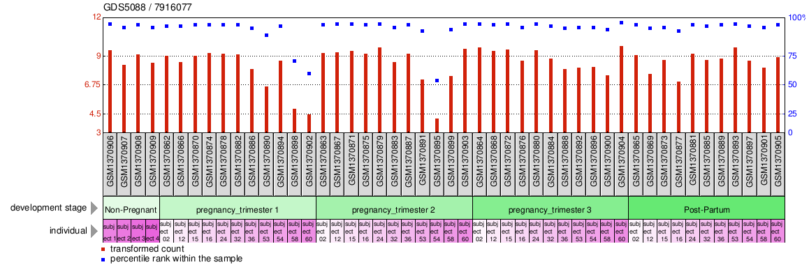 Gene Expression Profile