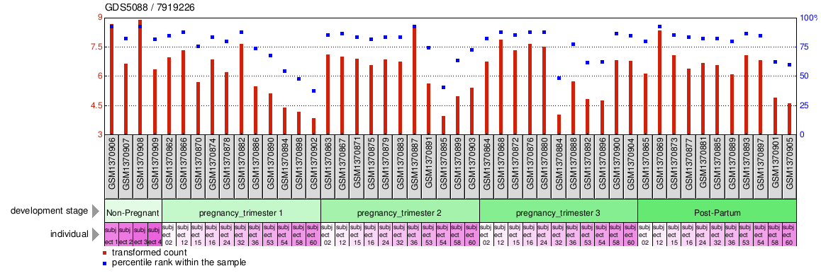 Gene Expression Profile