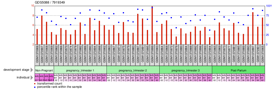 Gene Expression Profile