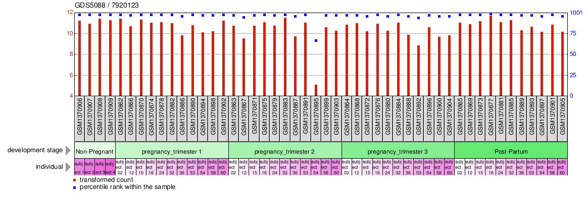 Gene Expression Profile