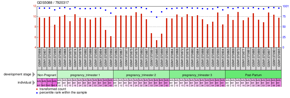 Gene Expression Profile