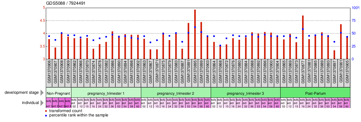 Gene Expression Profile