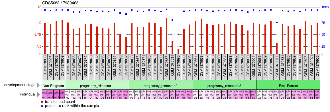 Gene Expression Profile