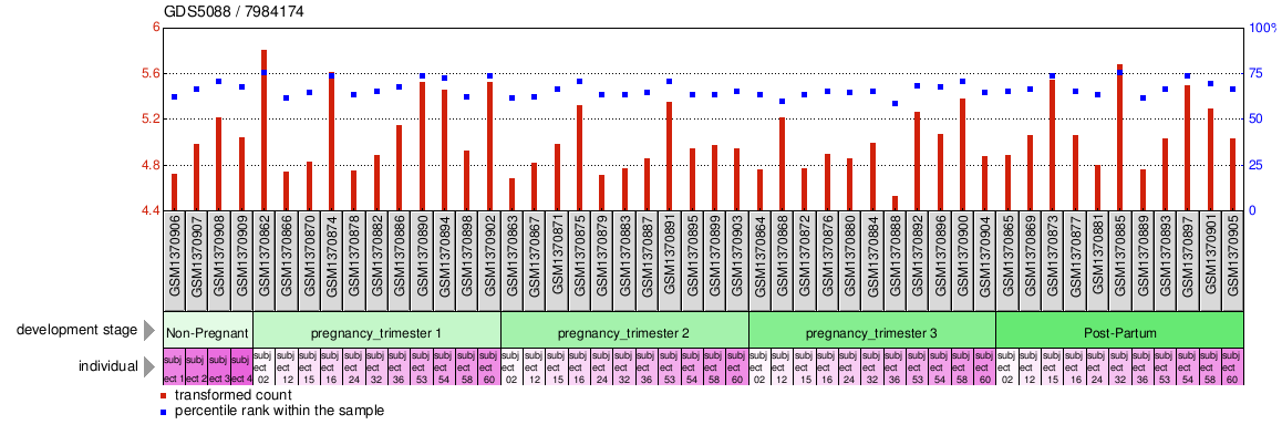 Gene Expression Profile